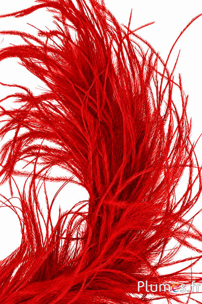Struisvogel lont - 10 cm - rood